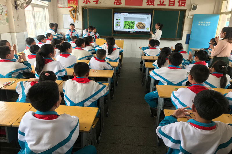 微信图片_20190523171512 拷贝.jpg