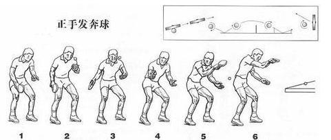 图片1.jpg